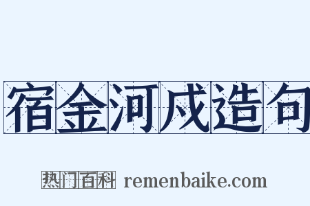 宿金河戍造句是什么意思的图片